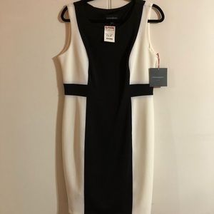 Color block sheath dress.